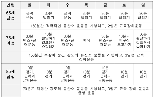 연령대별 주간 운동 프로그램