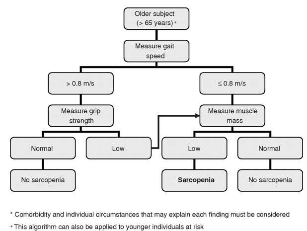 EWGSOP(European Working Group on Sarcopeniain in Older People)이 제안한 고령자의 근감소증 판정 알고리즘 (출처: https://academic.oup.com/ageing/article/39/4/412/8732)