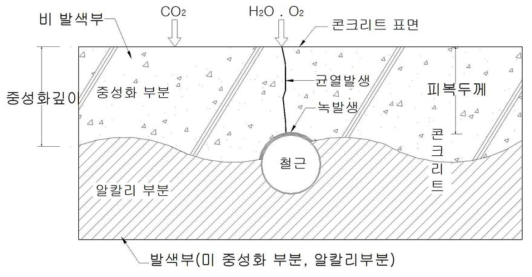 페놀프탈레인에 의한 중성화 부분의 경계