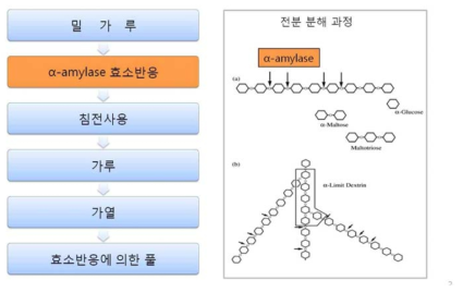 효소처리에 의한 접착제 제조과정