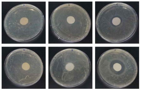 방균제 감수성 테스트 A-백급, B-명반, C-빙반, D-유향, C-풀, F-glyoxylic