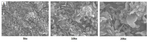 SEM Analysis of Deacidifying Chemical A