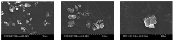 SEM Analysis of Deacidifying Chemical B