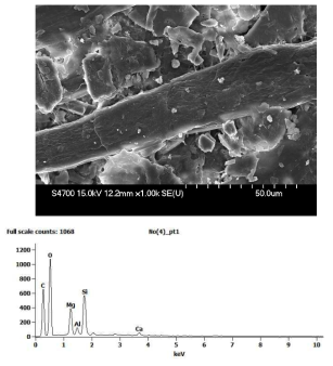 SEM/EDS Analysis of Wood Free Fine Paper Produced in 1964