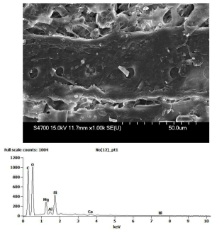 SEM/EDS Analysis of Wood Contained Printed Paper Produced in 1975