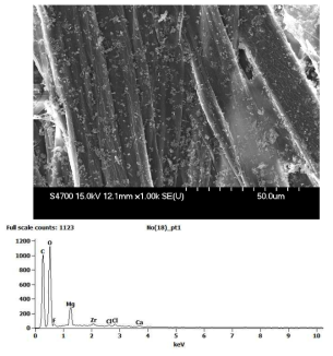 SEM/EDS Analysis of Han-Ji Produced in 1900