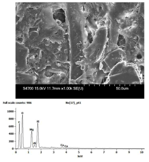 SEM/EDS Analysis of Wood Contained Printed Paper Produced in 1975