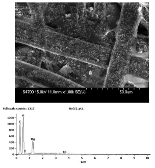 SEM/EDS Analysis of Han-Ji Produced in 1900