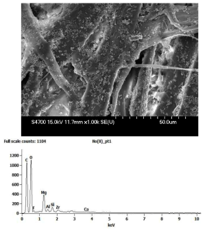 SEM/EDS Analysis of Wood Contained Printed Paper Produced in 1975