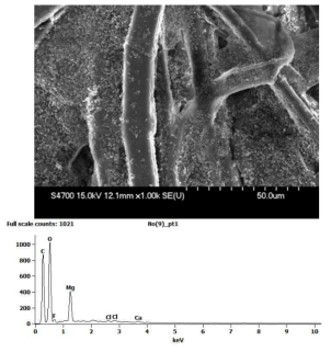 SEM/EDS Analysis of Han-Ji Produced in 1900