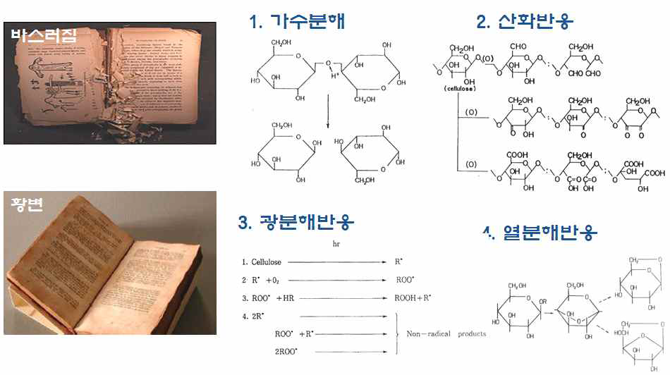 Mechanism of Archival Materials' Chemical Deterioration