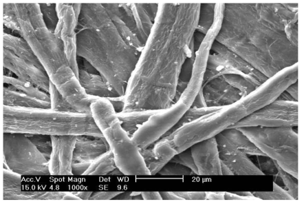 SEM pictures of second tried product(control)