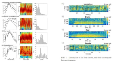 Tracking dolphins (left) and classification of fish sounds (right) with machine learning algorithm