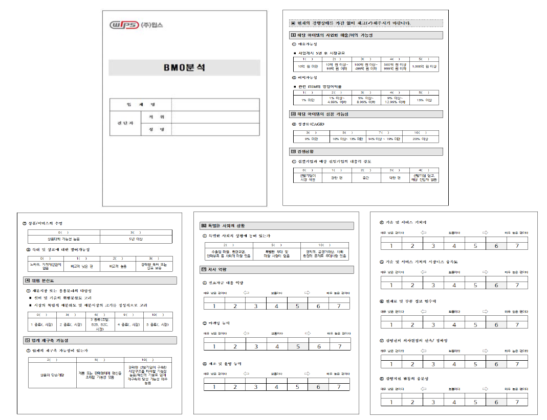 사업화 전략 수립을 위한 BMO분석 평가지(민간기업 대상)