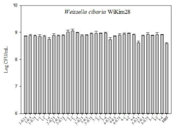 Production of Weissella cibaria WiKim28 with various C/N ratios