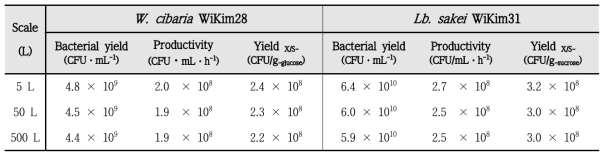 발효용량에 따른 Weissella cibaria WiKim28과 Lactobacillus sakei WiKim31의 균체 생산량 비교