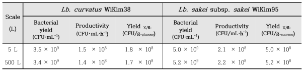 발효용량에 따른 Lactobacillus curvatus WiKim38과 Lactobacillus sakei subsp. sakei WiKim95 의 균체 생산량 비교