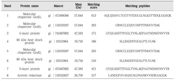 List of identified proteins