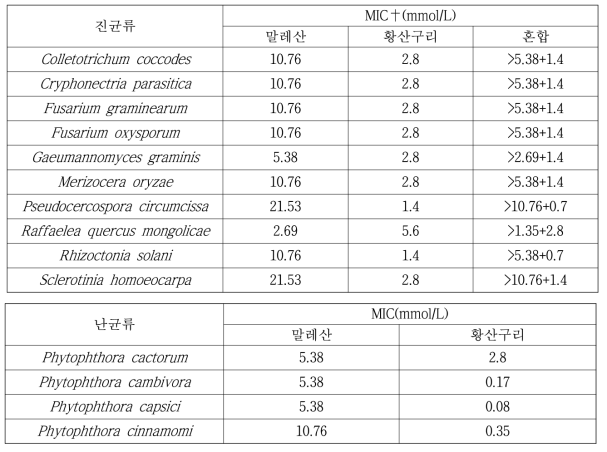 다양한 진균 및 난균에 대한 말레산과 황산구리의 MIC 값 조사