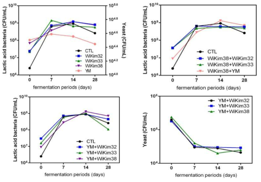 단일 또는 복합종균 김치의 유산균수 및 효모수 변화