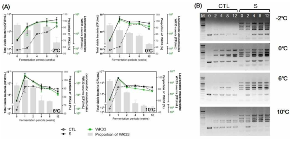 WiKim33 검출용 프라이머 세트의 김치 적용. (A): 저장 온도를 달리한 김치 저장실험에 따른 미생물 균수(총균수, WiKim33 균수, 우점률) 변화, (B): 저장실험에 따른 종균 함유 여부를 WiKim33 검출용 프라이머 세트를 이용하여 PCR한 결과, M: DNA marker, CTL: 종균을 첨가하지 않은 대조구, S: 종균 첨가구 (107 CFU/g), 0-12: 김치의 저장 주차