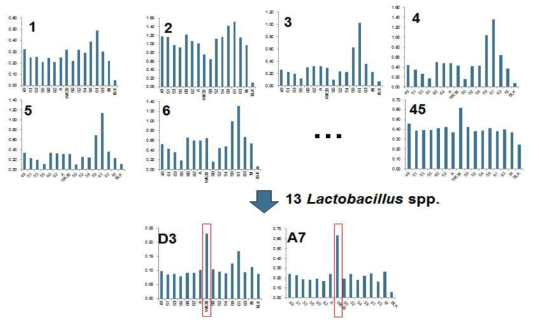 융합세포 배양상등액에서 Lactobacillus spp. 13종을 이용한 1차 특이성 검증