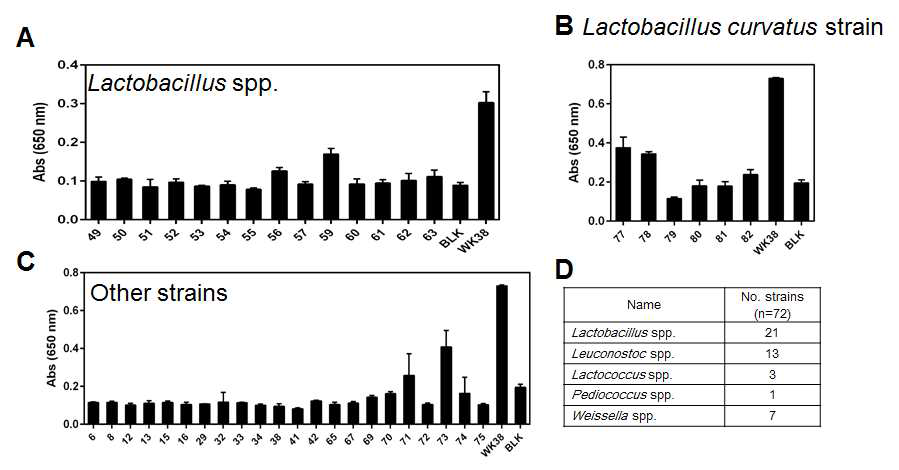 융합세포 배양상등액의 검출특이성 측정. A: Lactobacillus spp. 21종에서 역가 측정, B: Lb. curvatus strain 6종에서 역가 측정, C: Leuconostoc spp. 13종, Lactococcus spp. 3종, Padiococcus spp. 1종, Weissella spp. 7종에서 역가 측정