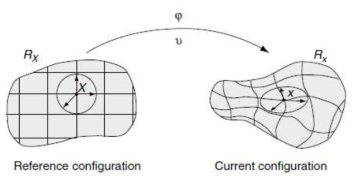 Lagrangian description of motion