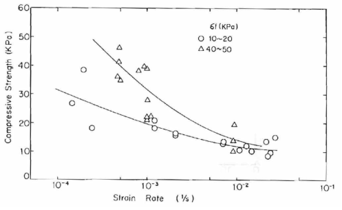 Strain rate에 따른 압축강도 변화
