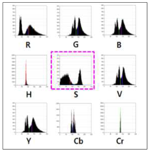 팩아이스 디지털 이미지 B에 대한 다양한 컬러 히스토그램