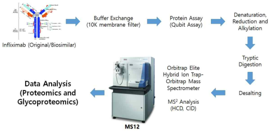 한국기초과학지원연구원의 고분해능 질량분석장비를 활용한 단백질바이오의약품 분석 워크플로우