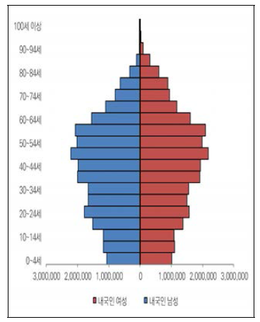 내국인의 인구구조