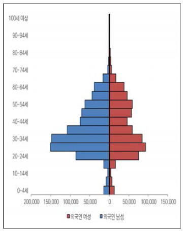 이민자의 인구구조