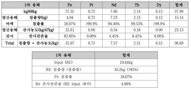 1차용해 실험결과