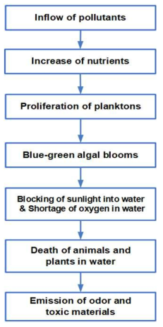 Cause and effect mechanism of harmful algal blooms