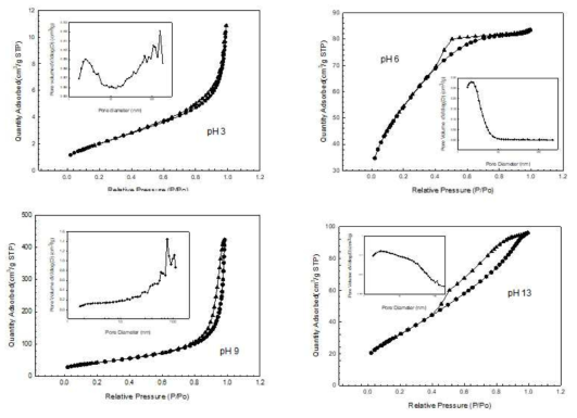 Isotherm plots and pore size distribution of ferric hydroxides obtained from the change of pH conditions: (a) pH 3 (b) pH 6 (c) pH 9 (d) pH 13