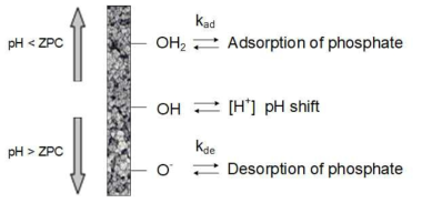 Adsorption mechanism of phosphate