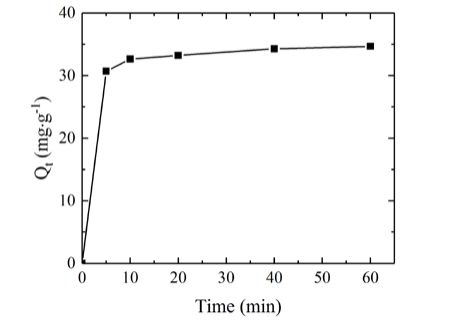 Adorption kinetics of Cd2+ by NaS-WS (C0 = 200 mg·L−1, adsorbent dose = 5 g·L−1, T = 293 ± 2 K, t = 60 min)