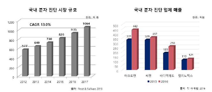 국내 분자진단 시장 규모 및 관련 업체 매출 규모