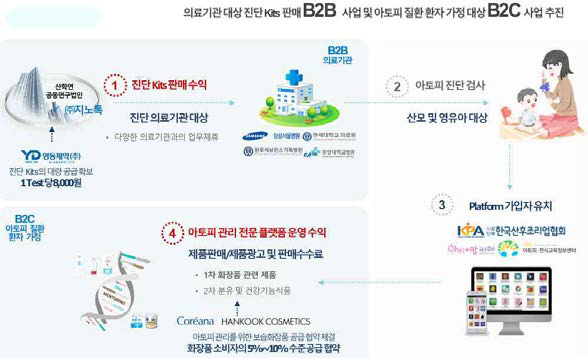 국내 사업 추진 Revenue Stream