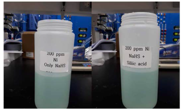 Ni 200 ppm 농도의 폐수