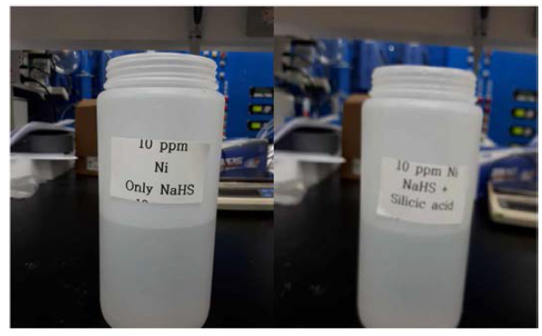 Ni 10 ppm 농도의 폐수