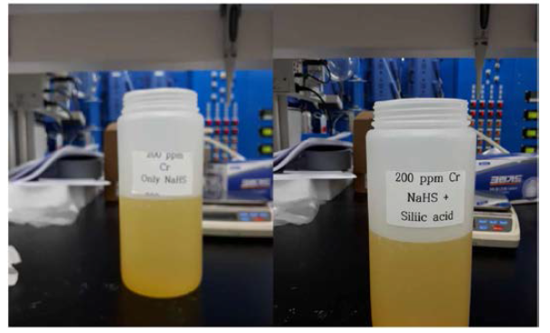 Cr 200 ppm 농도의 폐수