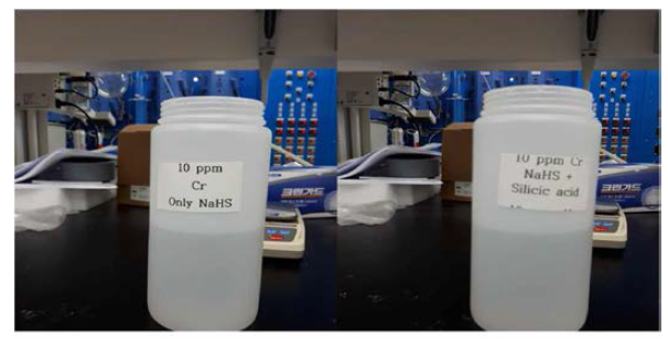 Cr 10 ppm 농도의 폐수