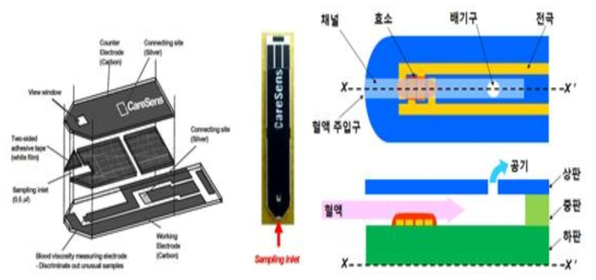 혈당 측정 센서의 구조