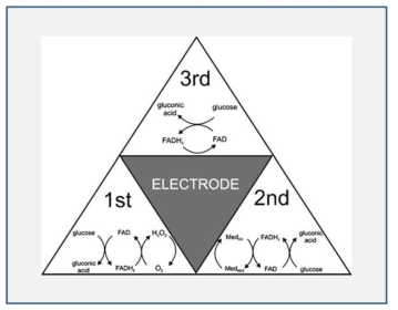 Glucose sensor의 발전 단계별 기술적 특징과 전극과의 상관관계