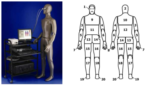 시험에 사용된 써멀마네킨과 34-zone의 구분 (출처: http://www.thermetrics.com/solutions/newton-34-zone-thermal-manikin-system-cdcniosh, ASTM F 2370)