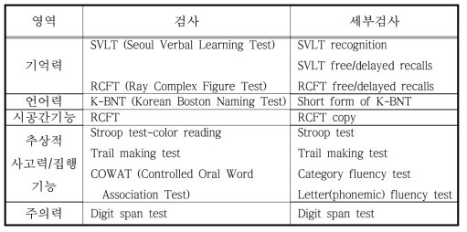 신경심리검사 (SNSB) 검사 영역 및 검사 항목