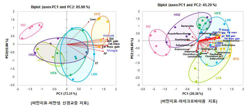 비만마우스모델에서의 김치 섭취에 따른 비만-뇌-마이크로바이옴 상관관계 분석