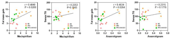 김치-김치유산균 복합식이에 따른 장내 미생물과 비만 지표와의 상관관계 분석